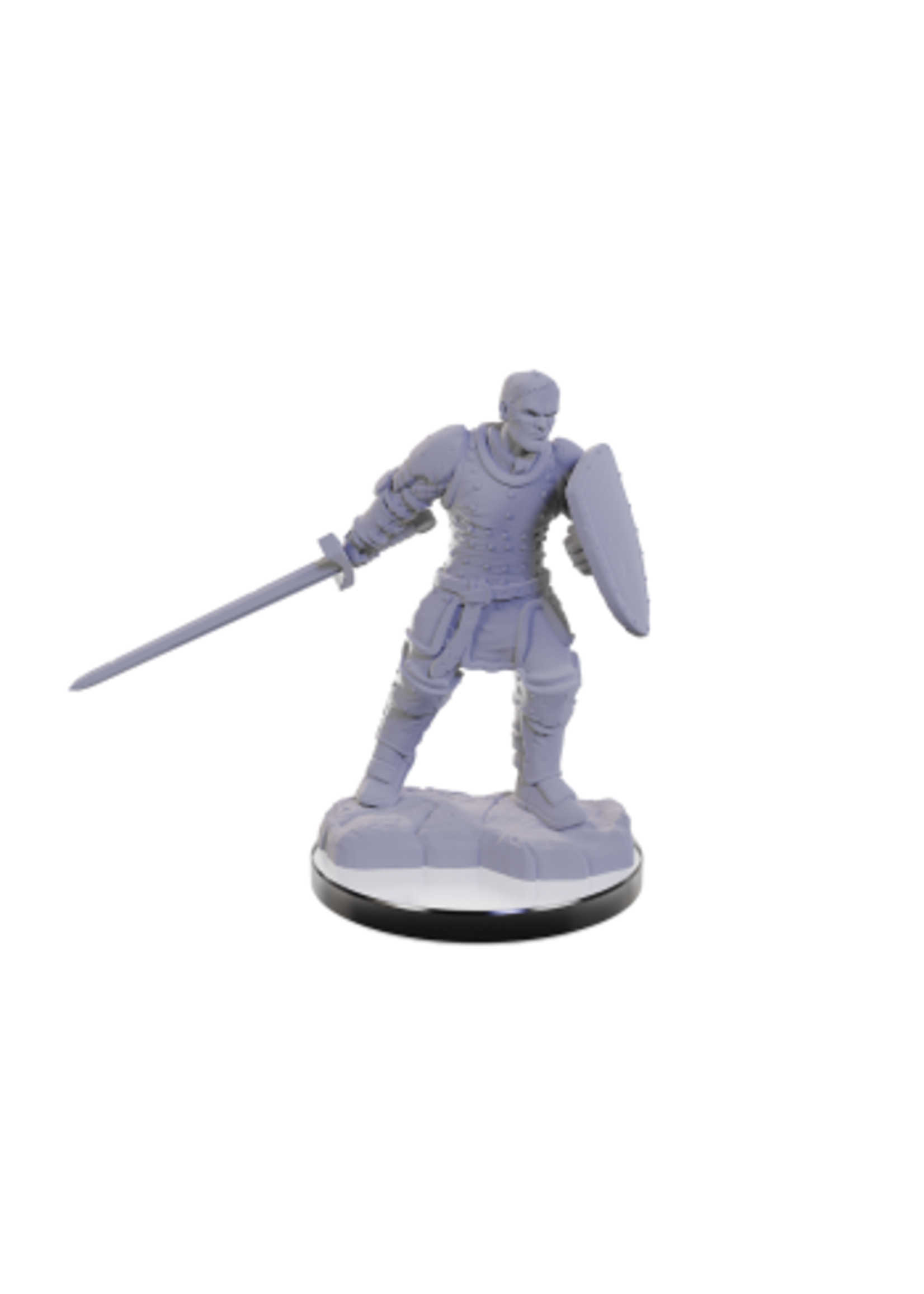 DND UNPAINTED MINIS WV22 REBORN PALADIN/WARLOCK