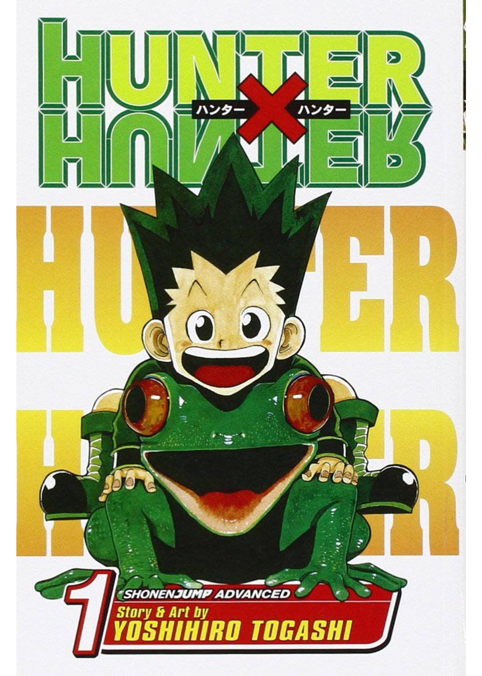 VIZ MEDIA HUNTER X HUNTER VOL  01