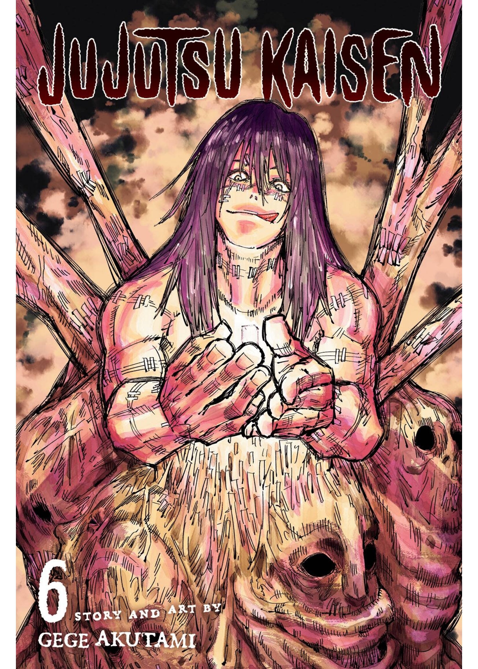 JUJUTSU KAISEN VOL 06