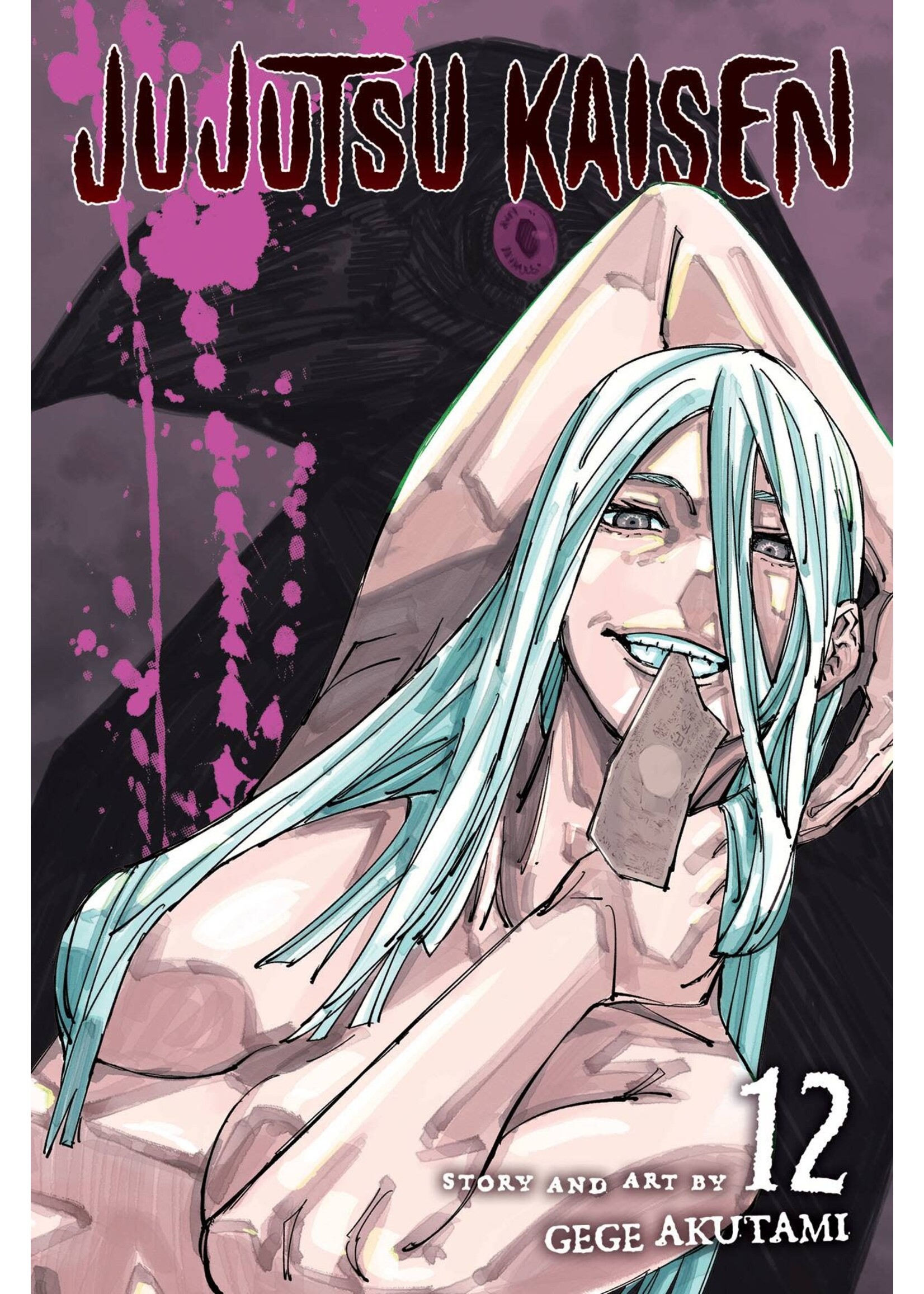 VIZ MEDIA JUJUTSU KAISEN VOL 12