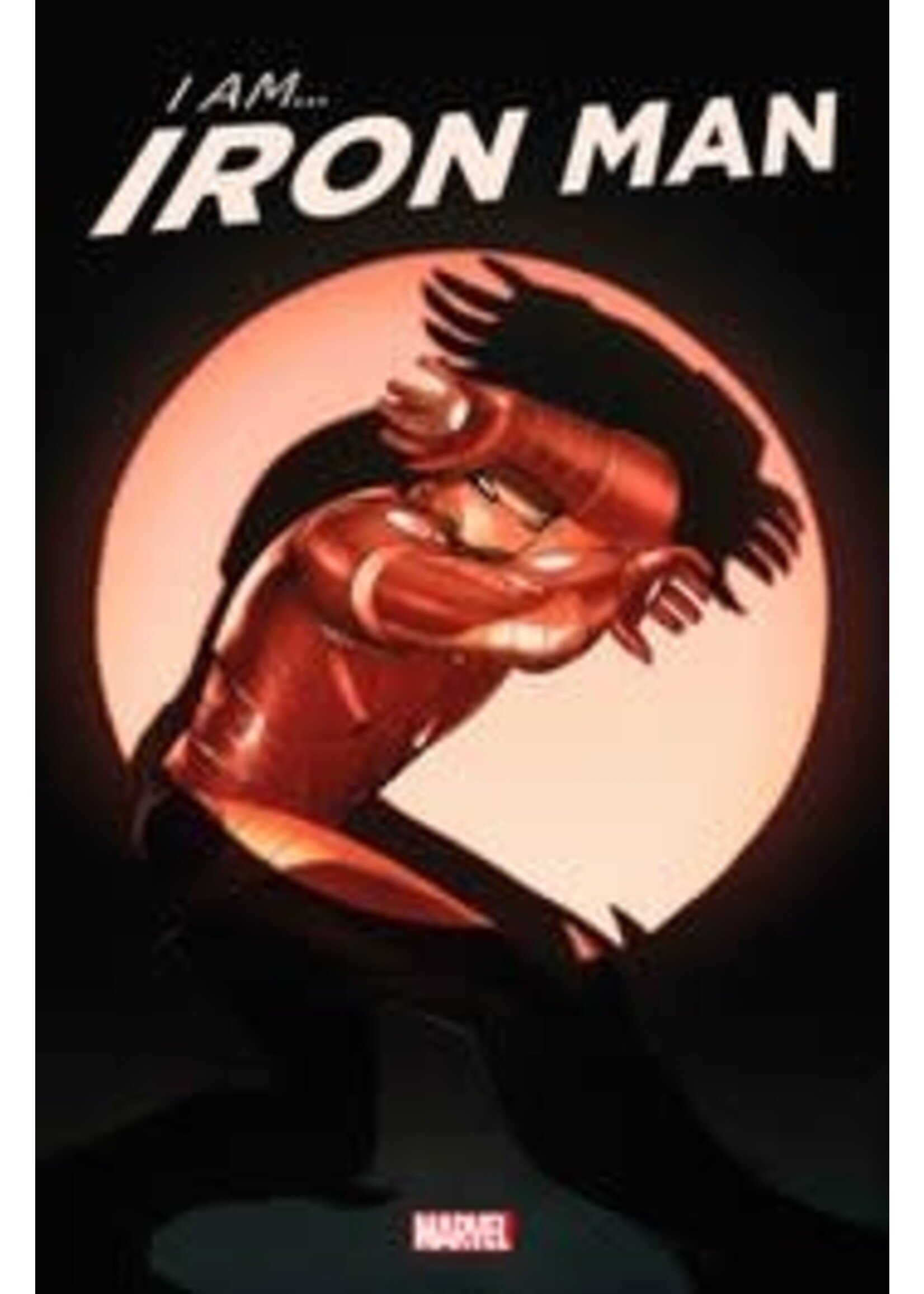 ABRAMS I AM IRON MAN complete 5 issue series