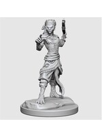 DND UNPAINTED MINIS WV20 SHIFTER FIGHTER