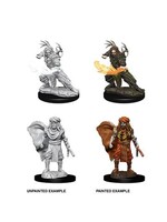 DND UNPAINTED MINIS WV6 HUMAN MALE DRUID