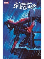 MARVEL COMICS AMAZING SPIDER-MAN (2022) #45