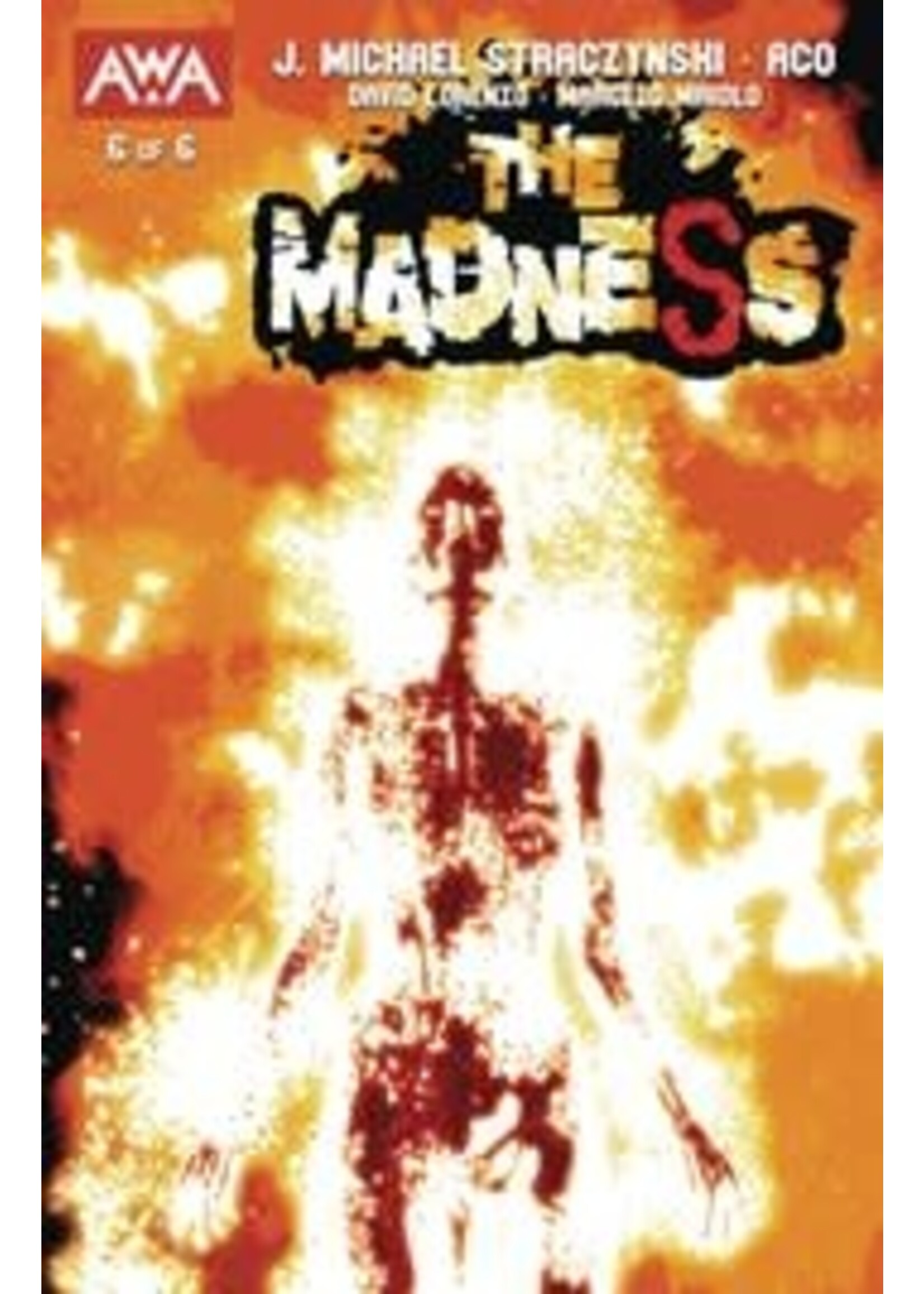 AWA STUDIOS THE MADNESS complete 6 issue series