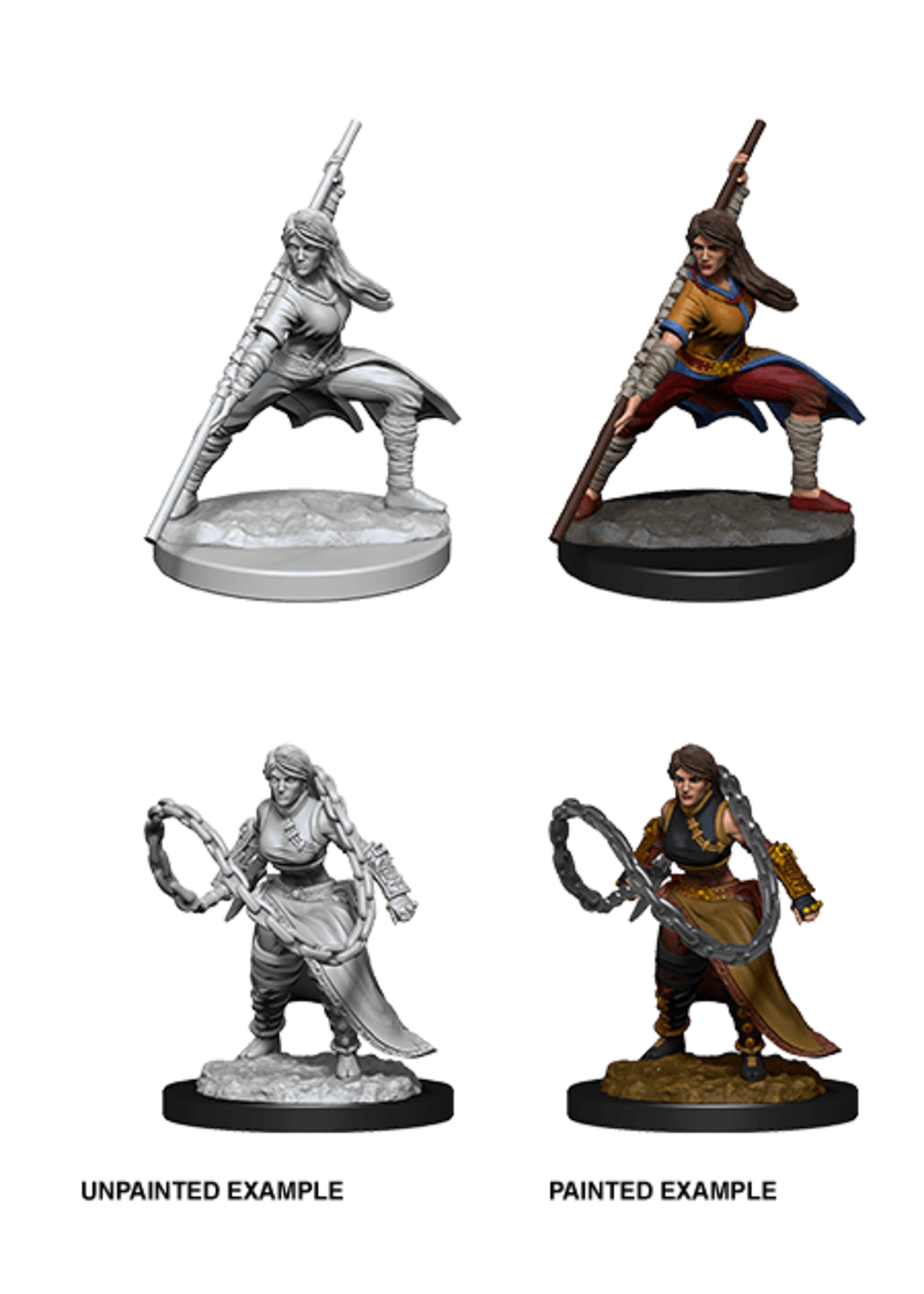. DND UNPAINTED MINIS WV14 HUMAN MONK FEMALE