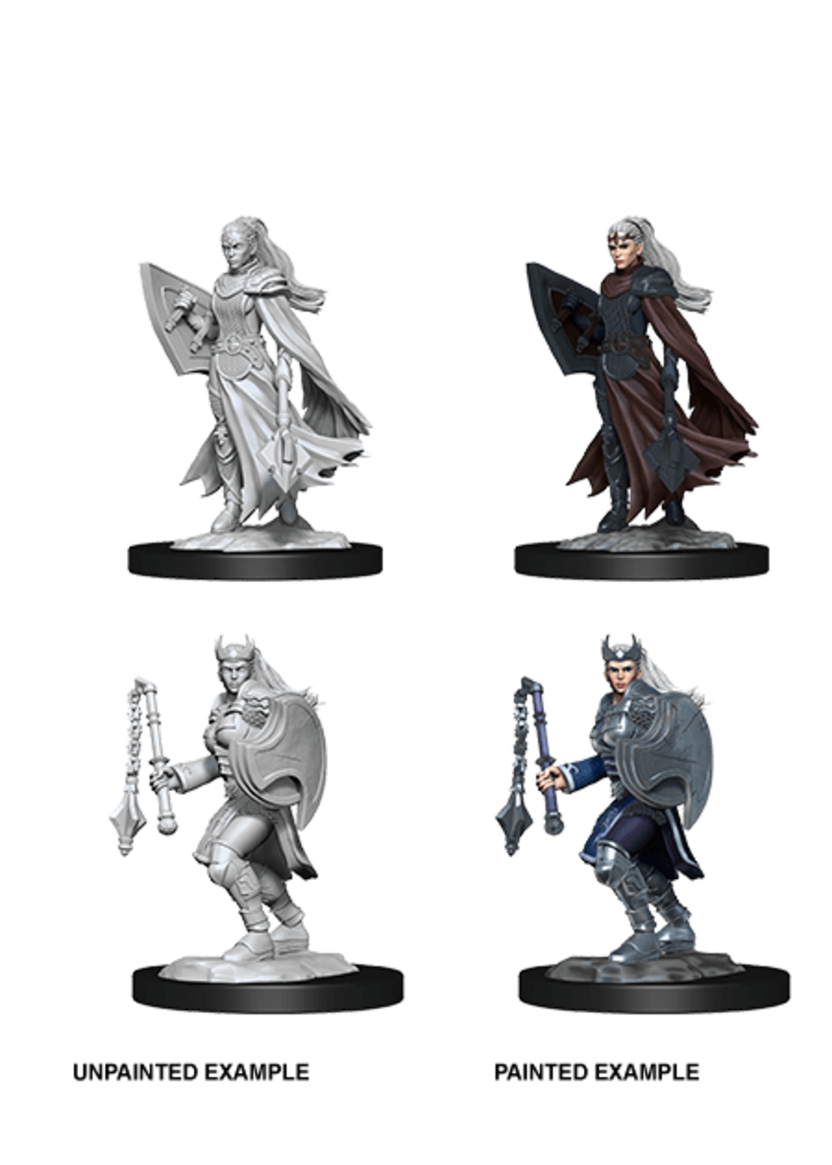 . DND UNPAINTED MINIS WV14 KALASHTAR CLERIC FEMALE