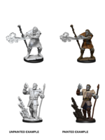 . DND UNPAINTED MINIS WV11 MALE FIRBOLG DRUID