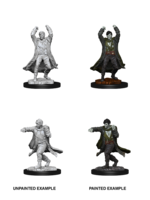 . DND UNPAINTED MINIS WV12 REVENANT
