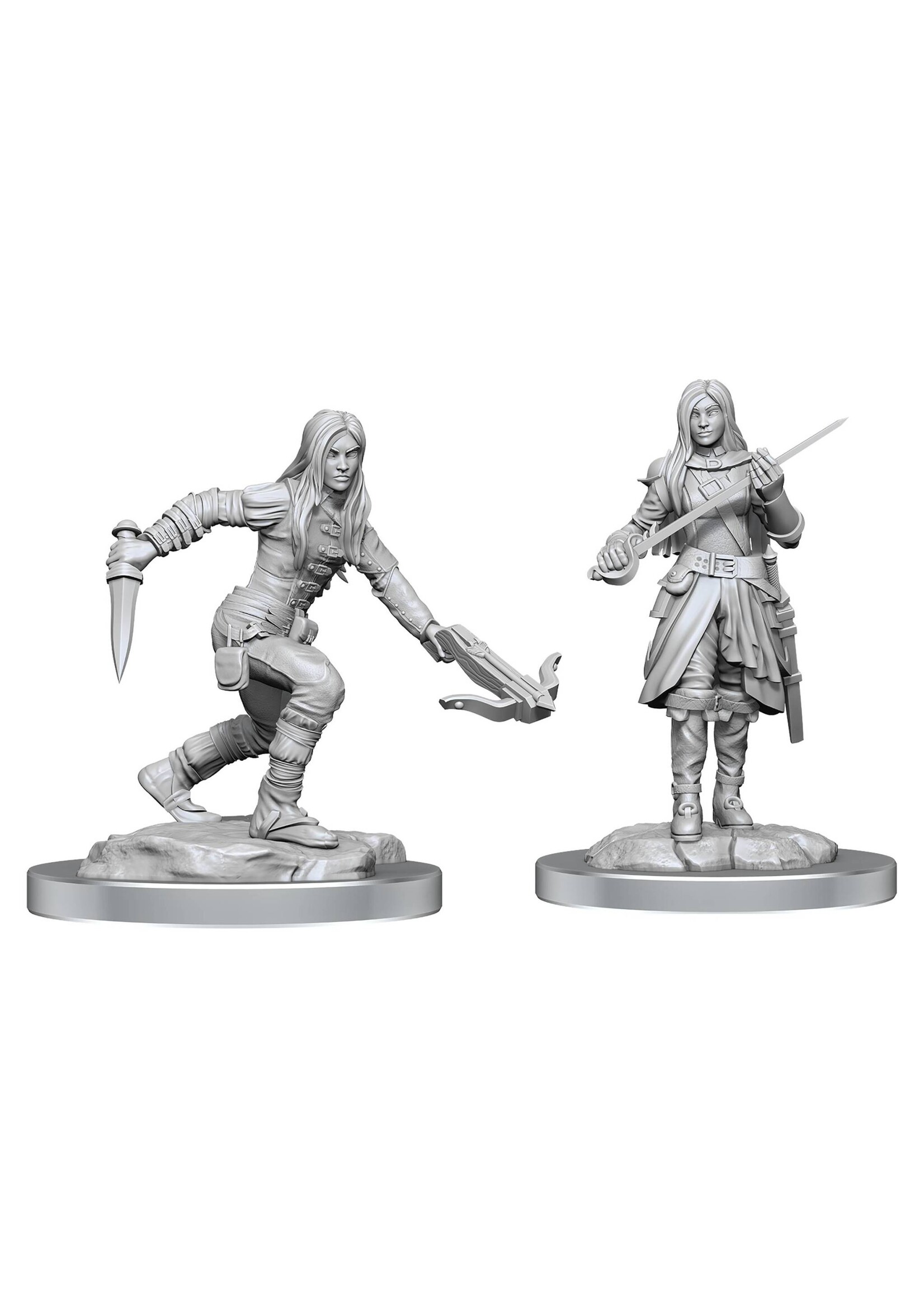 DND UNPAINTED MINIS WV17 HALF-ELF ROGUE FEMALE