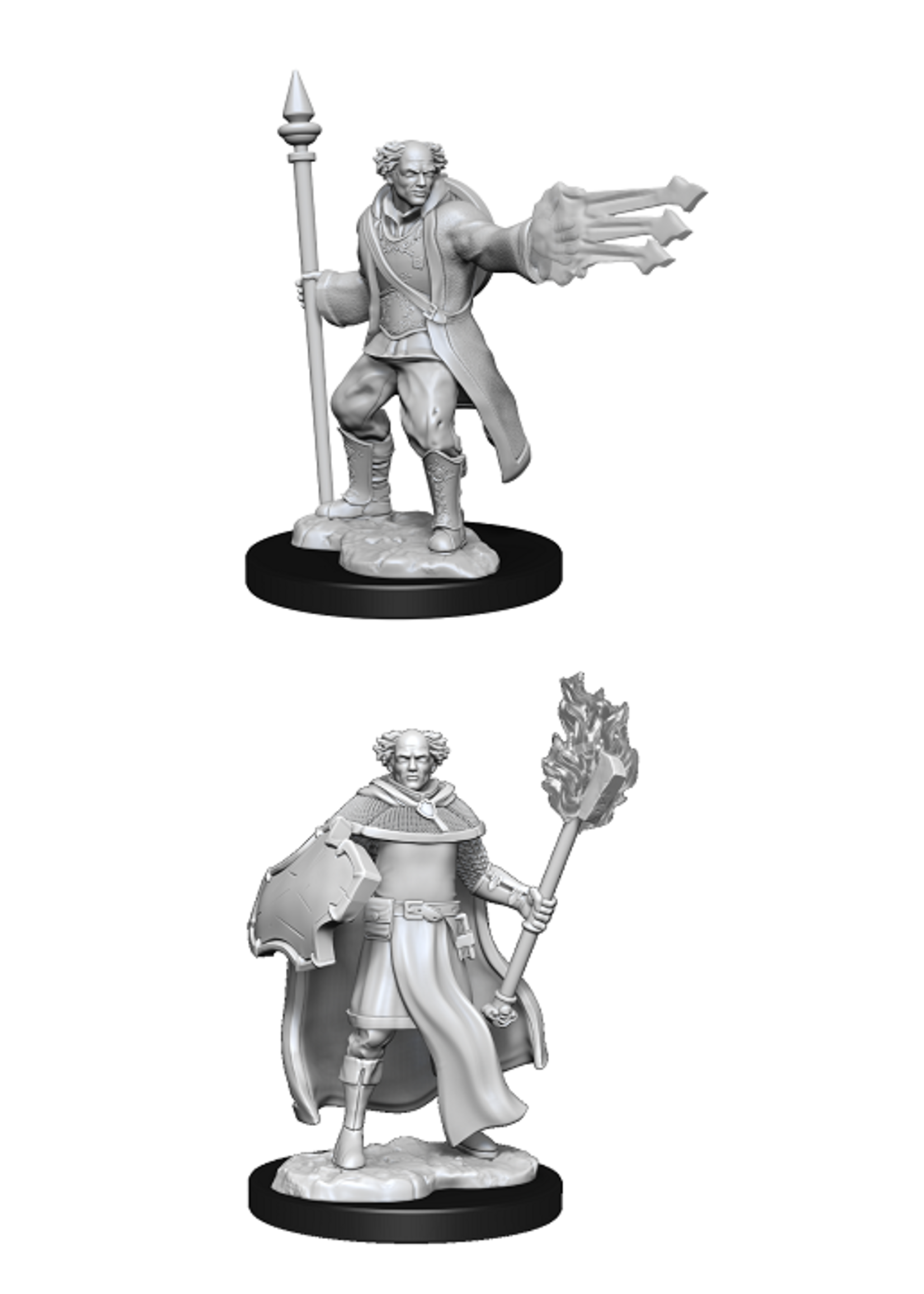 DND UNPAINTED MINIS WV13 CLERIC/WIZARD MALE