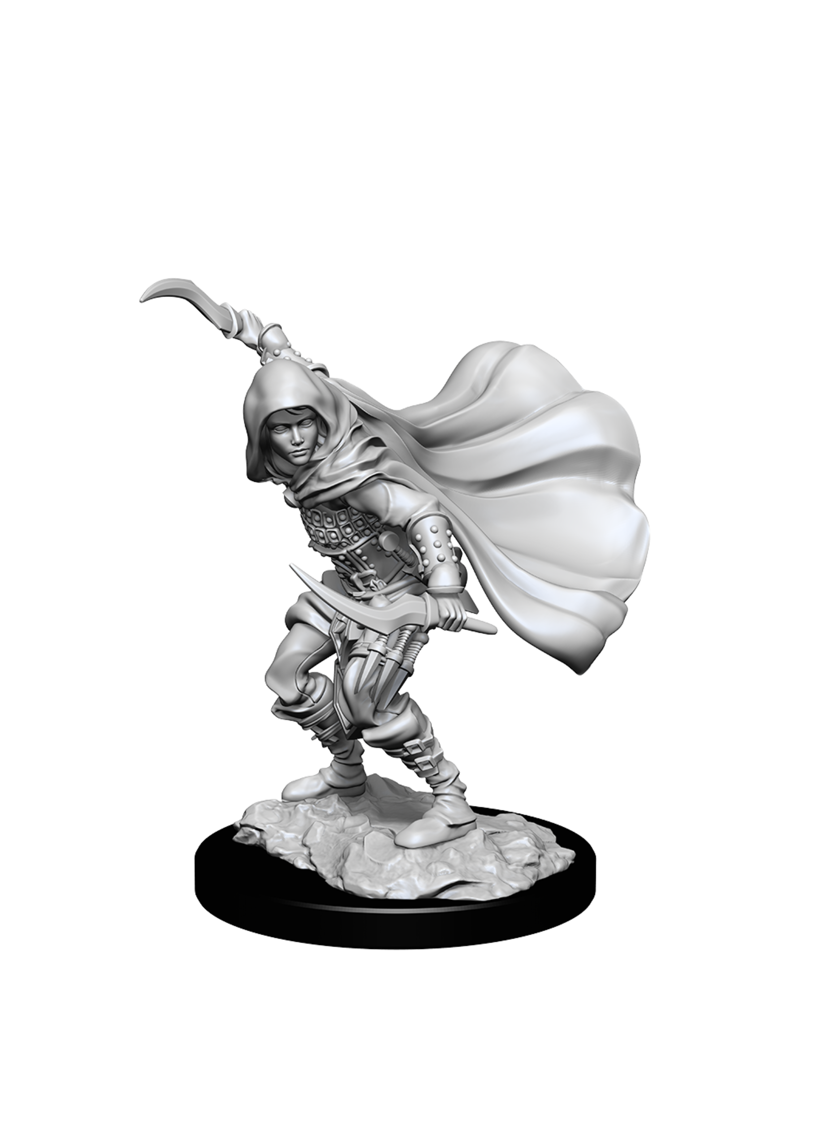 PF UNPAINTED MINIS WV14 HUMAN ROGUE FEMALE