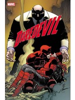 MARVEL COMICS DAREDEVIL (2023) #12