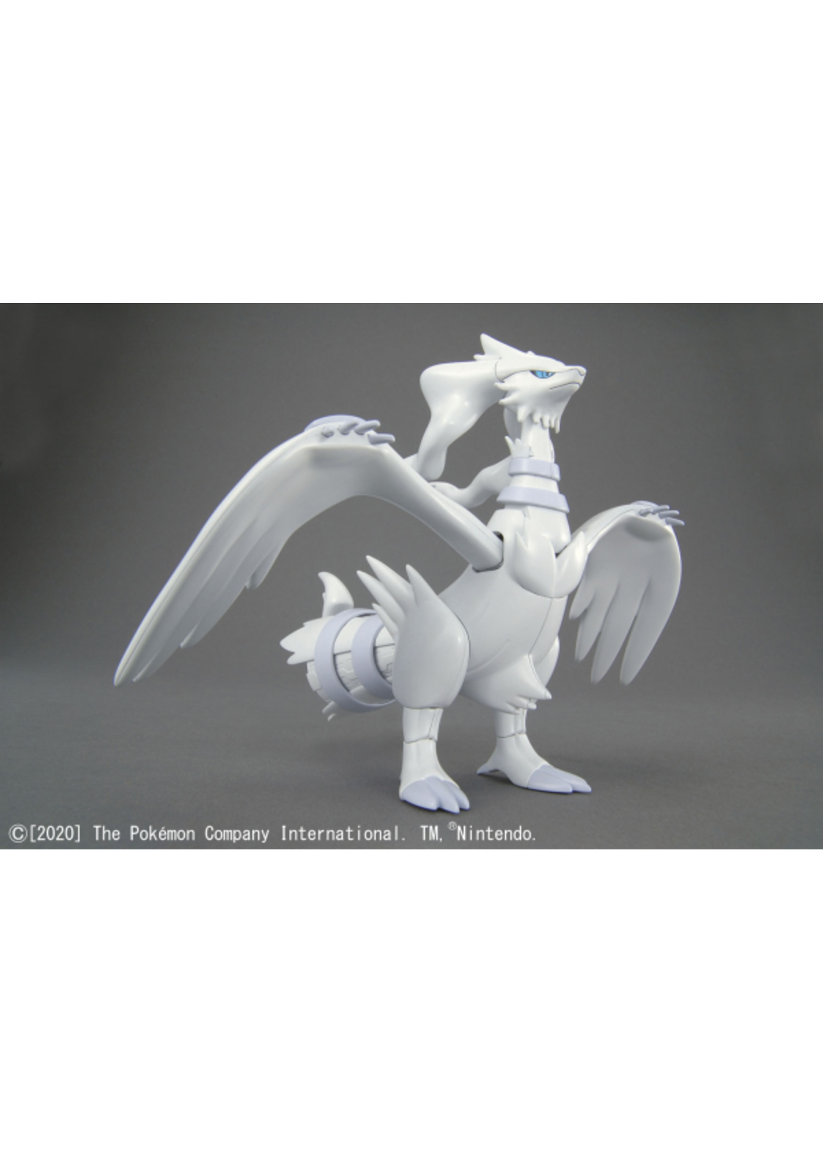 . POKEMON MODEL KIT RESHIRAM