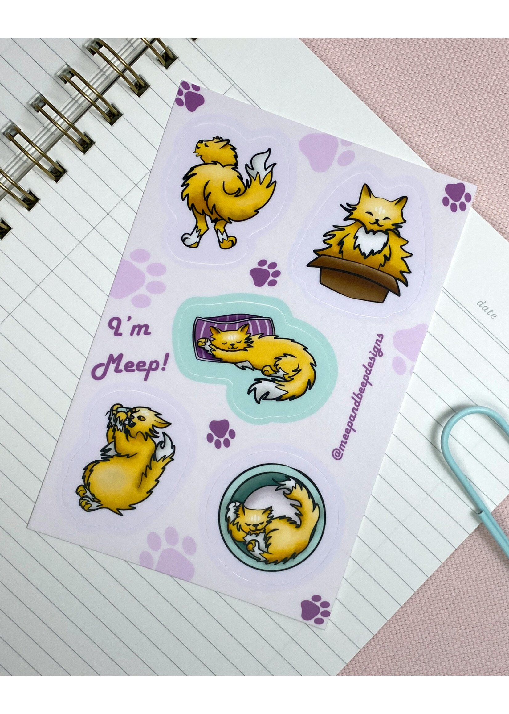 MEEP & BEEP DESIGNS ORANGE CAT STICKERS (MEEP VERSION)