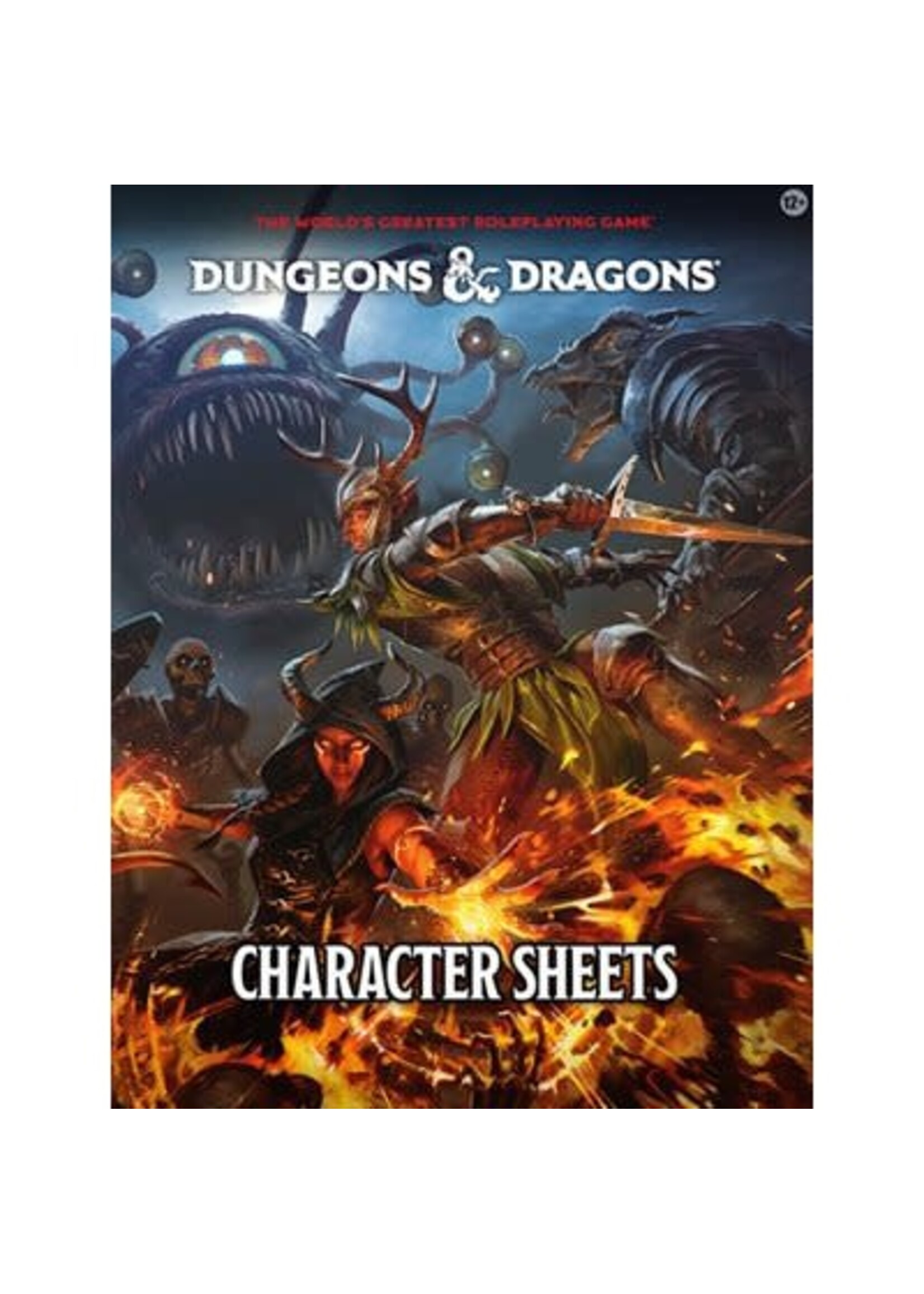 WIZARDS OF THE COAST DUNGEONS & DRAGONS CHARACTER SHEETS (2024)