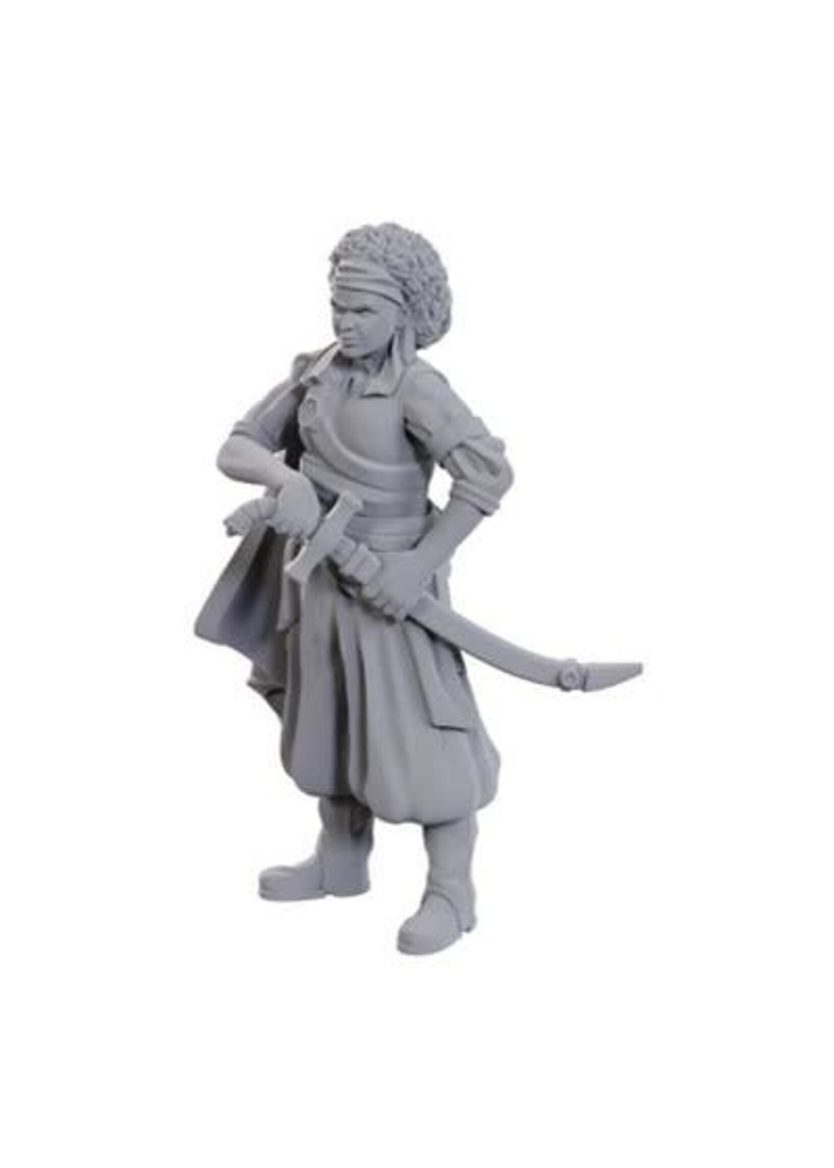 DND UNPAINTED MINI WV23 ANSALON HUMAN ROGUE