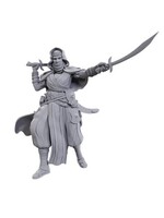 PATHFINDER UNPAINTED MINIS WV23 DESERT GIANT