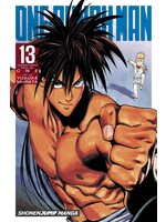 VIZ MEDIA ONE PUNCH MAN GN VOL 13