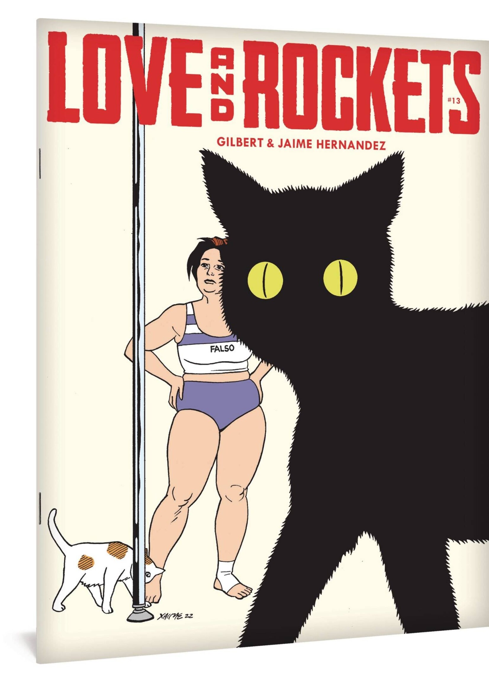 FANTAGRAPHICS BOOKS LOVE & ROCKETS MAGAZINE #13