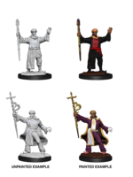 . DND UNPAINTED MINIS WV13 HUMAN WIZARD MALE