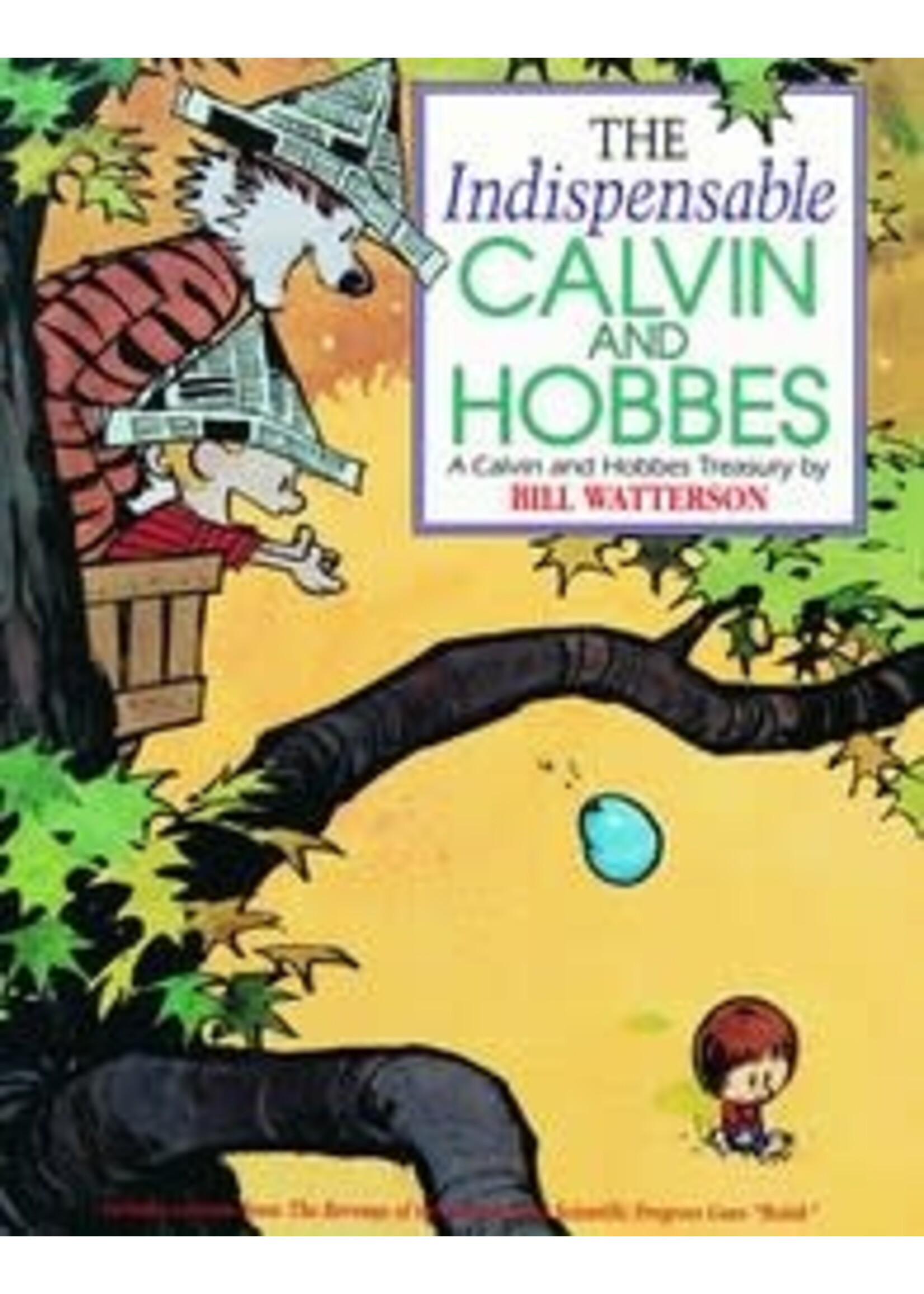 CALVIN & HOBBES INDISPENSABLE TP SC