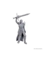 D&D NOLZUR'S MARVELOUS UNPAINTED MINIS WV 25 BLACKGUARD