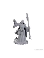 D&D NOLZUR'S MARVELOUS UNPAINTED MINIS WV 25 STAR SPAWN LARVA MAGE