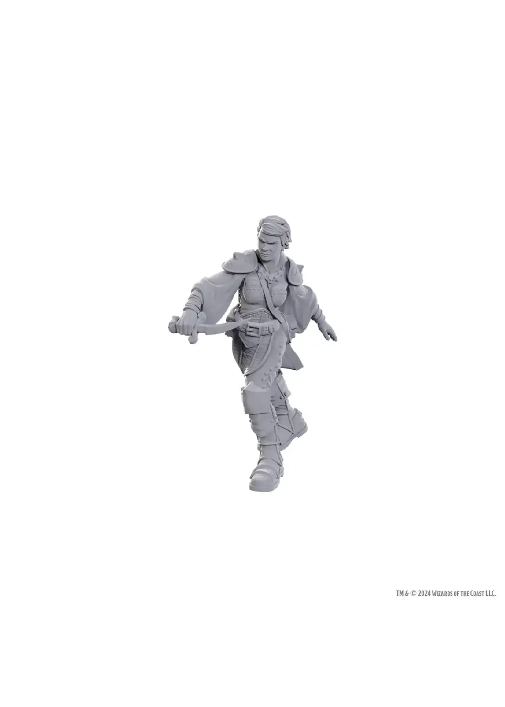 D&D NOLZUR'S MARVELOUS UNPAINTED MINIS WV 25 SWASHBUCKLER
