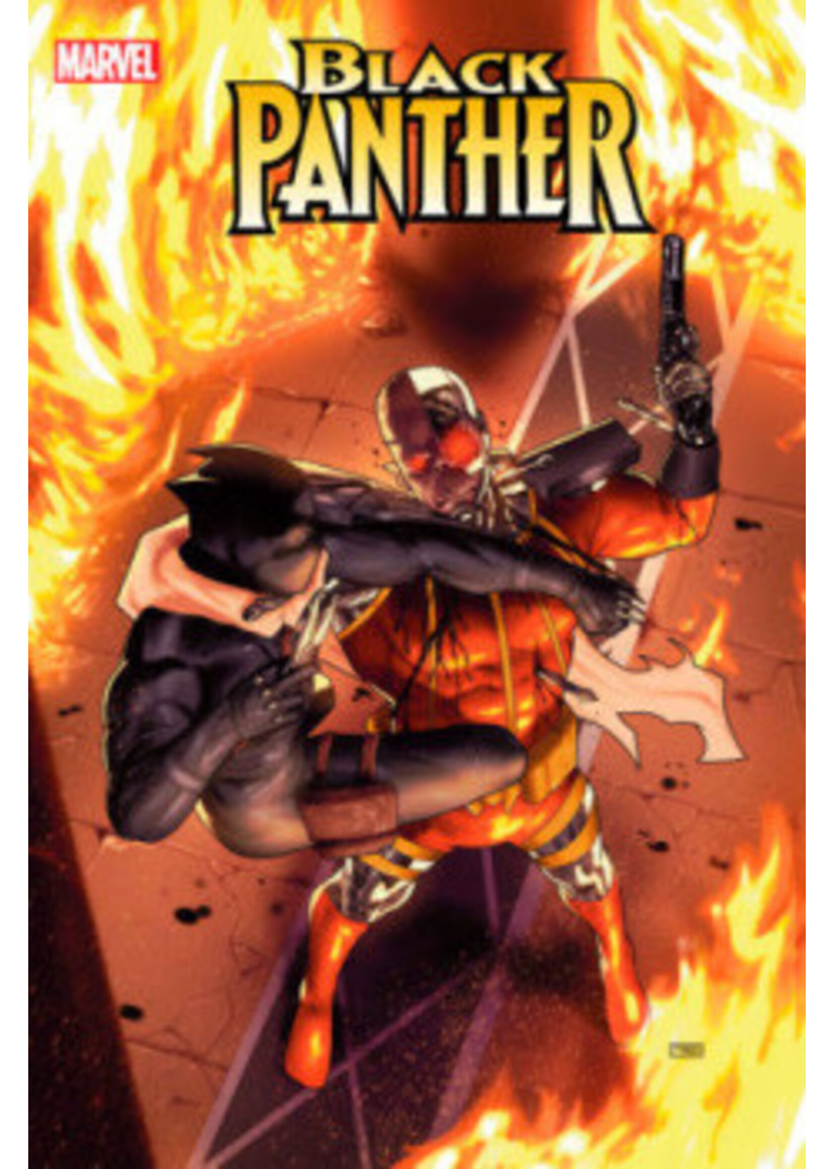 . BLACK PANTHER (2023) complete 10 issue series