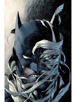 ABRAMS BATMAN HUSH TP NEW EDITION