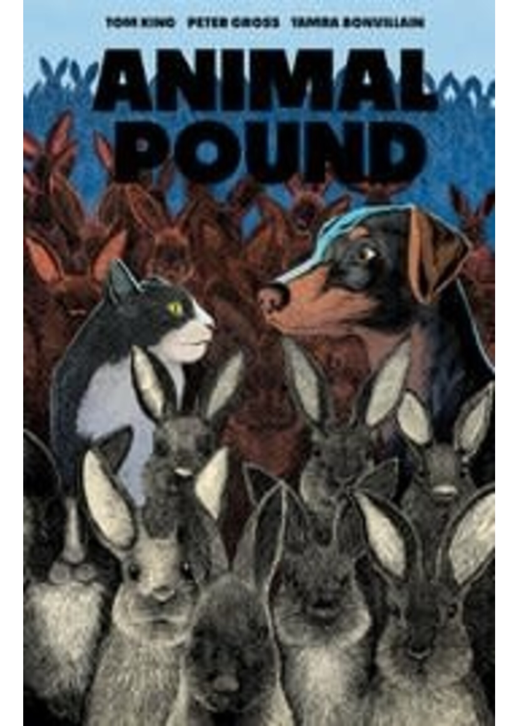 . ANIMAL POUND complete 5 issue series w Ashcan