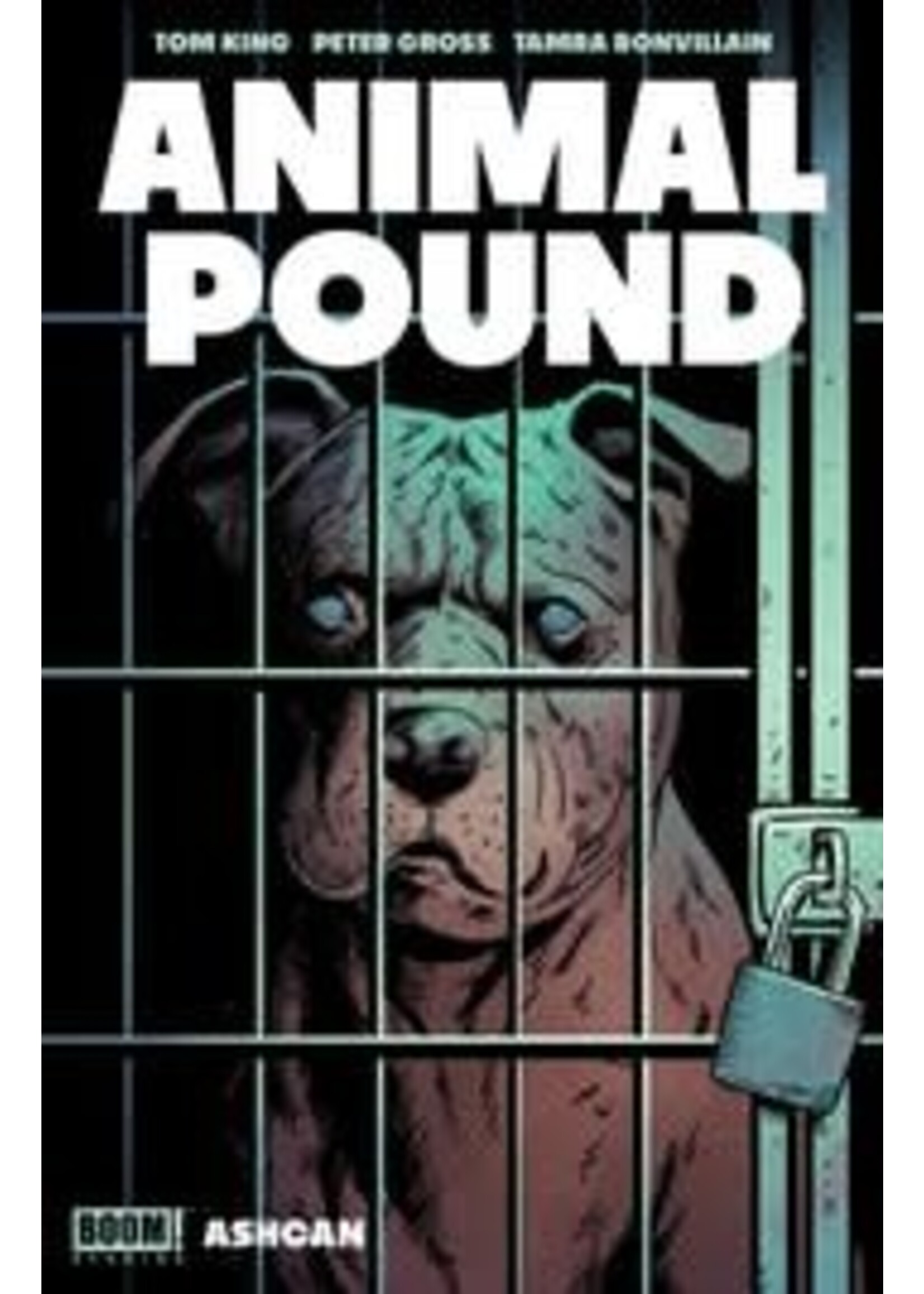 . ANIMAL POUND complete 5 issue series w Ashcan