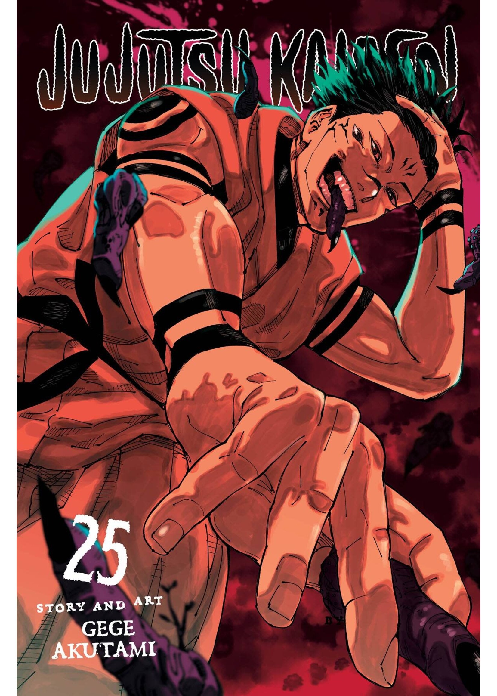 VIZ MEDIA LLC JUJUTSU KAISEN VOL 25