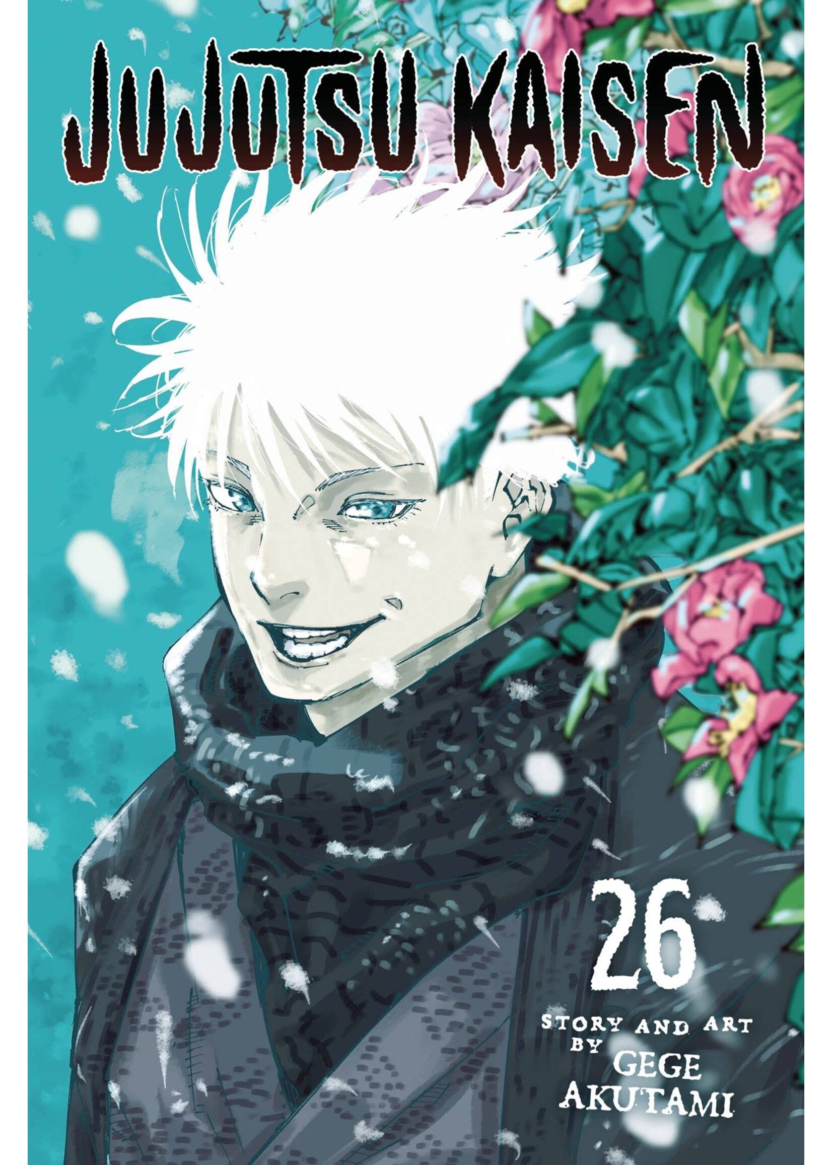 VIZ JUJUTSU KAISEN VOL 26