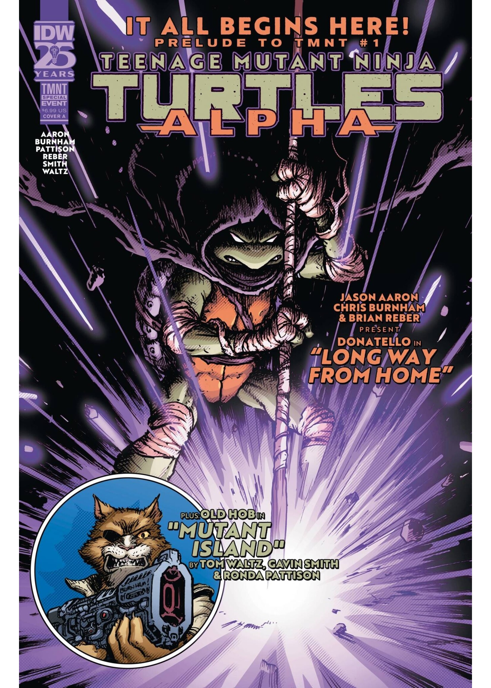 . TEENAGE MUTANT NINJA TURTLES ALPHA #1 CVR A BURNHAM