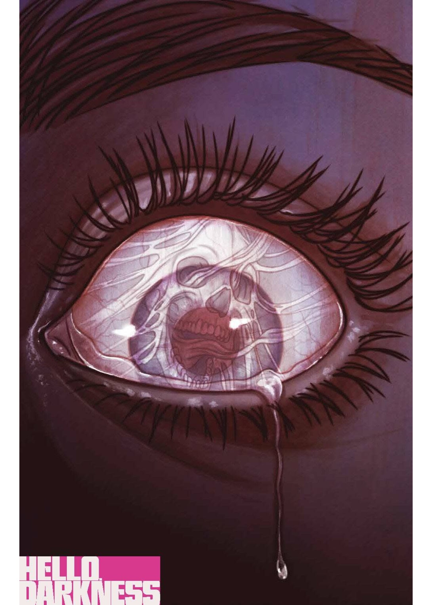 . HELLO DARKNESS #4 CVR B FRISON (MR)