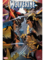 . WOLVERINE (2024) #6