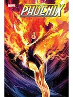 . PHOENIX #11 POSTER