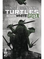 . TMNT BLACK WHITE & GREEN #2 CVR B LOVE
