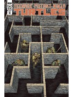 . TMNT ONGOING #141 CVR C 10 COPY INCV LONERGAN