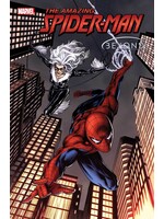 . AMAZING SPIDER-MAN #87 SMITH VARIANT