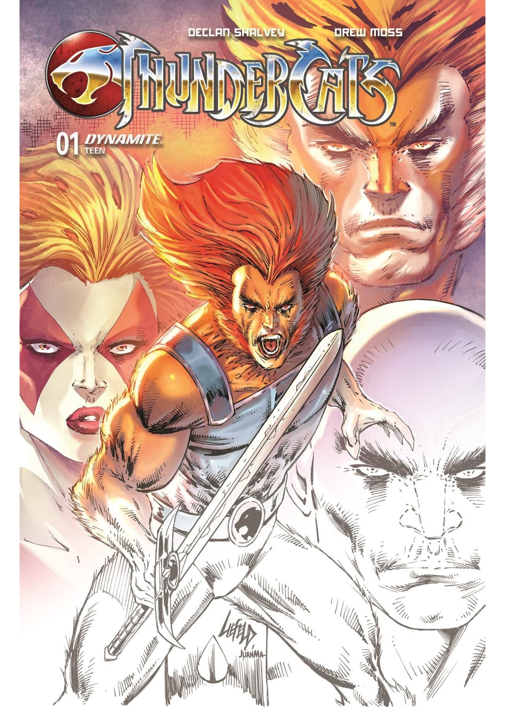 . THUNDERCATS (2024) #1 2ND PTG CVR A LIEFELD