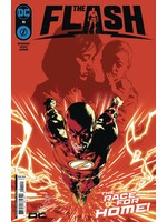 . THE FLASH (2023) #11