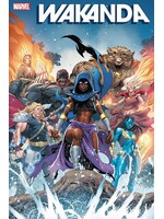 . WAKANDA #3 COELLO VARIANT