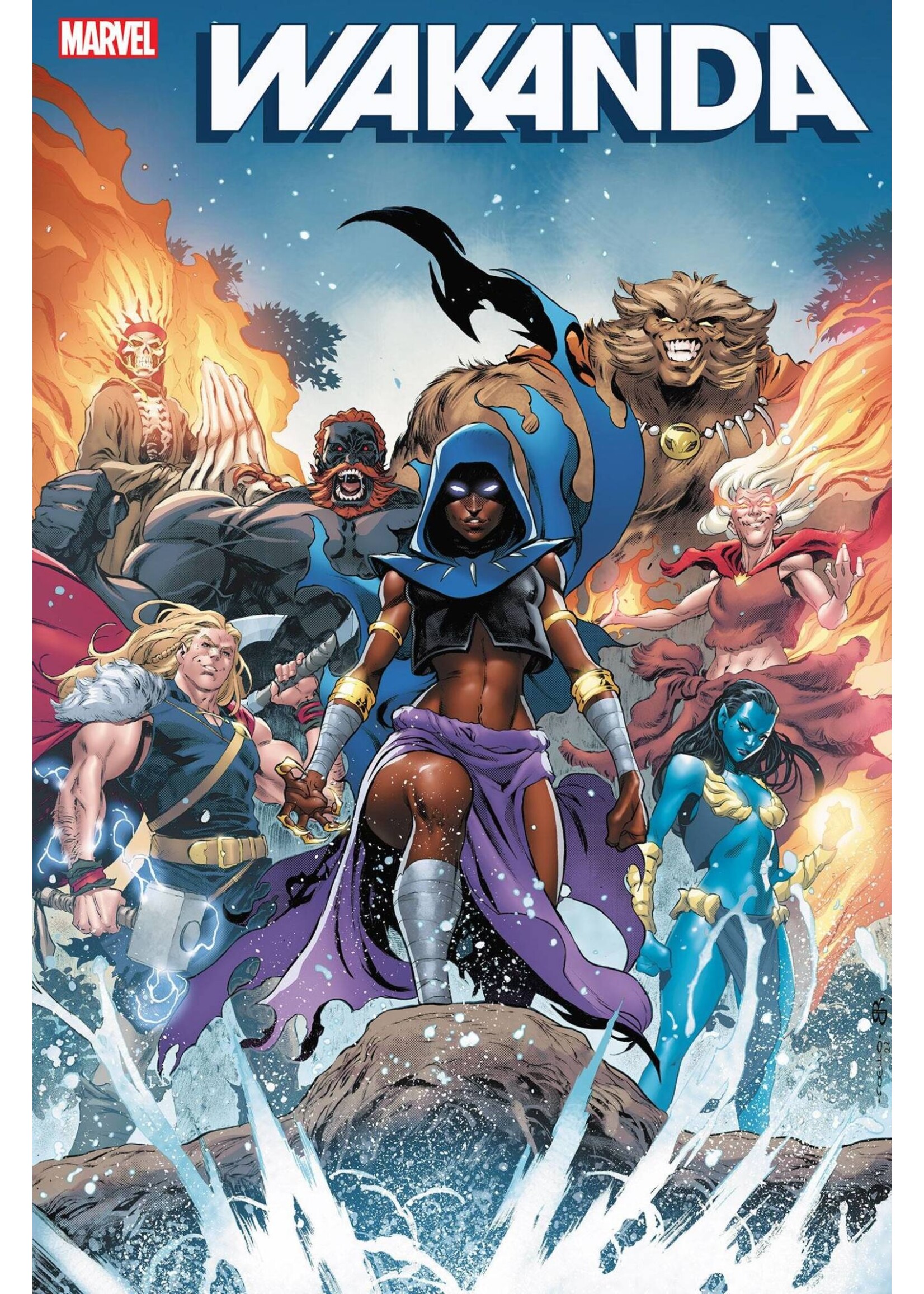 . WAKANDA #3 COELLO VARIANT