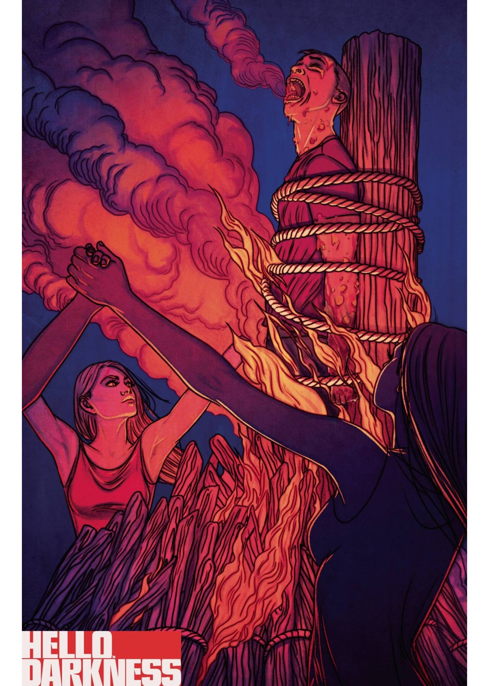 . HELLO DARKNESS #2 CVR B FRISON (MR)