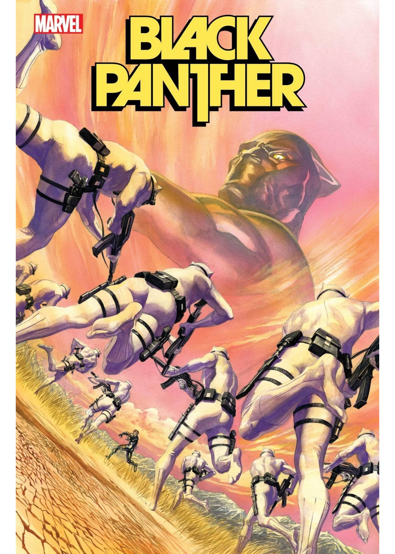 . BLACK PANTHER #6