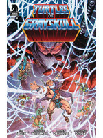 DARK HORSE MASTERS OF UNIVERSE TMNT TURTLES OF GRAYSKULL #4 CVR A