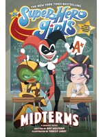 . DC SUPER HERO GIRLS MIDTERMS